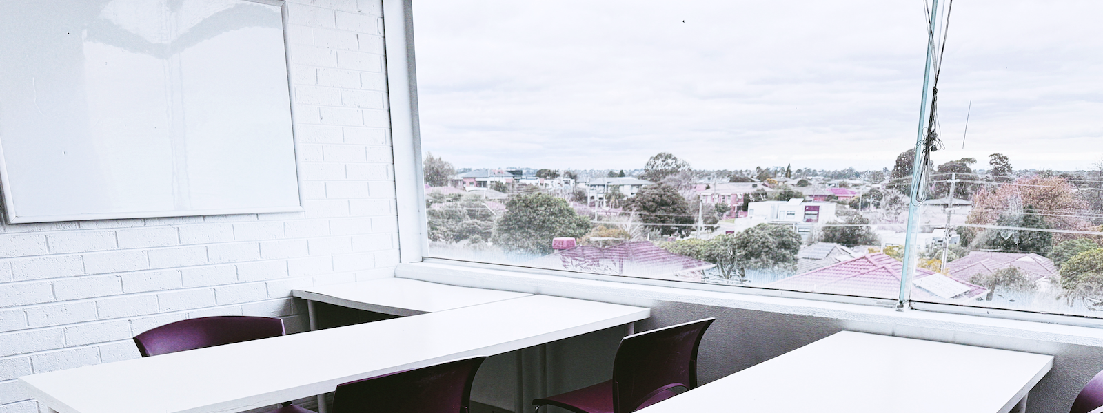 Banner 3